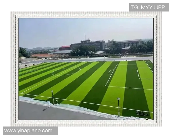 足球场草皮技术揭秘